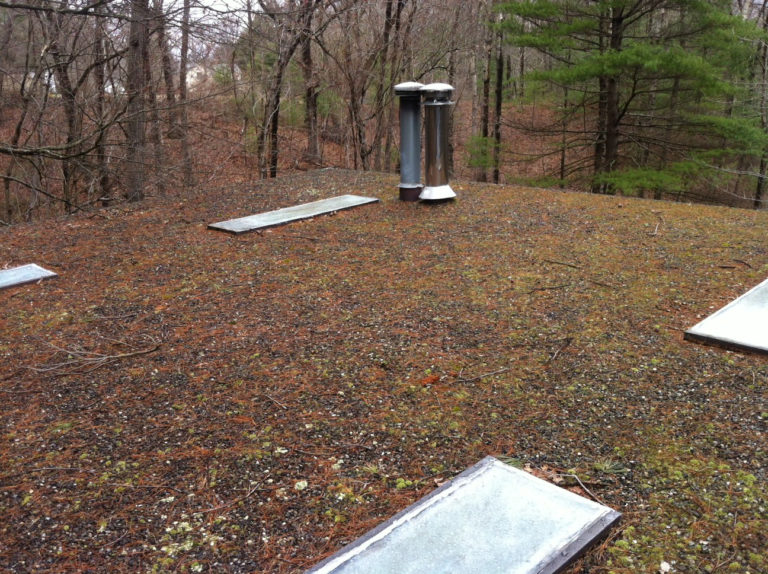Flat Roofing In Newton