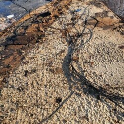 Emergency Roof Repair in Chelsea, MA