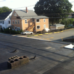 Flat Roof Repair in Waltham